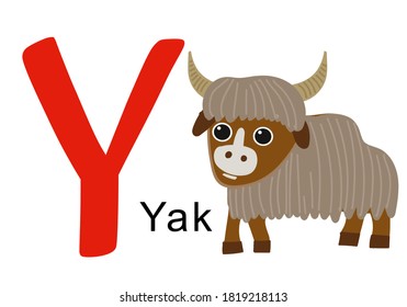 English letter Y, the first letter in the word Yak. Vector letter Y, slide presentation, google slide, power point, horns vector, animal vector, hand drawn bizon, letter flashcard vector