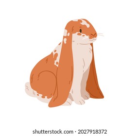 English lop-eared breed of ginger spotty rabbit. Adorable bunny with spots. Domestic animal. Cute coney pet sitting. Realistic flat vector illustration isolated on white background