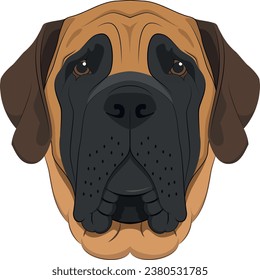 Perro Mastiff inglés aislado en ilustración vectorial de fondo blanco