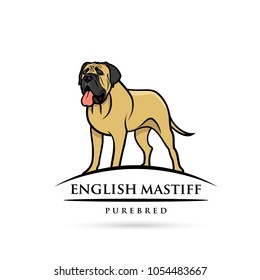 English mastiff dog - isolated vector illustration