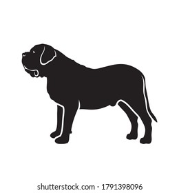 English mastiff dog - isolated vector illustration