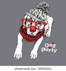 English Mastiff puppy in a knitted hat,  glasses, nose and in a red scarf on a gray background. Vector illustration.