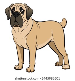 English Mastiff vector illustration isolated on white background in cartoon style.