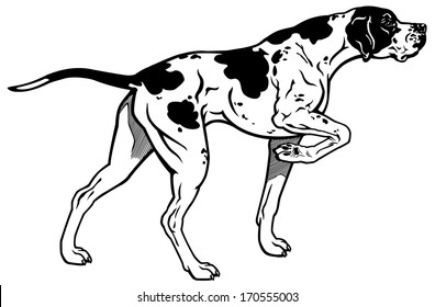 27,958 Hunting dog Stock Illustrations, Images & Vectors | Shutterstock