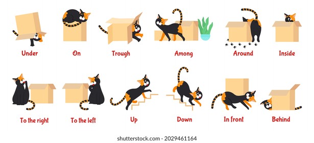 English Preposition. Kid Vocabulary Game, Prepositions With Comic Cat. Learn Language With Cute Character, Education Preschool Decent Vector Poster