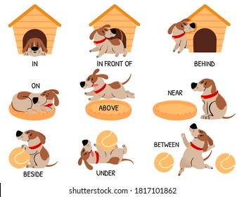 English prepositions with cute animal. Cartoon dog behind, above, near and under dog house, bowl. Learning words kids education vector set. Comic character with ball for learning visual material