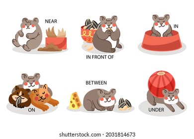 English prepositions. Education kid in kindergarten, preschool, school. Learning language. Prepositions of place English - behind, front, under, between, inside, up, beside,  around, below. Vector art