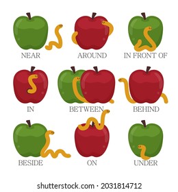 English prepositions. Education kid in kindergarten, preschool, school. Learning language. Prepositions of place English - behind, front, under, between, inside, up, beside,  around, below. Vector art