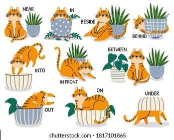 English prepositions. Educational visual material for kids learning language. Cute cat behind, above, near and under flower pot vector set. Foreign language for children illustration