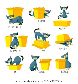 English Prepositions of Place Visual Aid for Children. Cute Cat Character in Different Poses Playing with Carton Box. Studying of Foreign Language Concept. Isolated Cartoon Vector Illustration, set