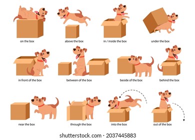 English Prepositions of Place Visual Aid for Children. Cute Dog Character in Different Poses Playing with Carton Box. Studying of Foreign Language Concept. Isolated Cartoon Vector Illustration, Set