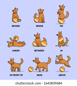 English prepositions poster with a cartoon character. Funny cartoon dog playing with ball set. Flat style vector illustration. Isolated on white background.