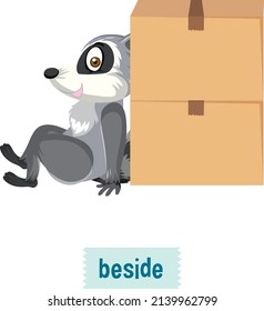 English prepositions, raccoon sitting beside boxes illustration