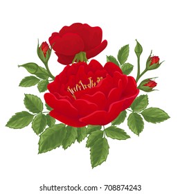 English  red rose graphic flowers. For wedding invitation or greeting card. 