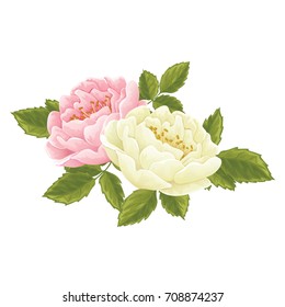 English rose graphic flowers, set in different color. For wedding invitation or greeting card. 