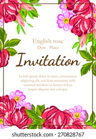 English rose. Romantic botanical invitation. Greeting card with floral background.