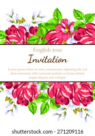 English rose. Romantic botanical invitation. Greeting card with floral background.
