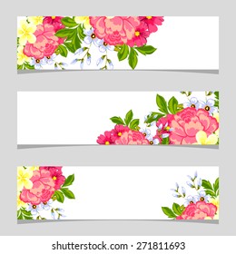 English rose. Three floral banners. Flower vector background brochure template.