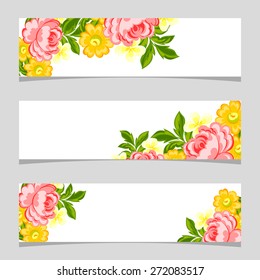 English rose. Three floral banners. Flower vector background brochure template.