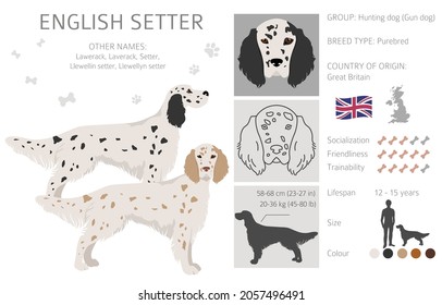 Clíparte de selectores ingleses. Postas diferentes, colores de abrigo.  Ilustración del vector