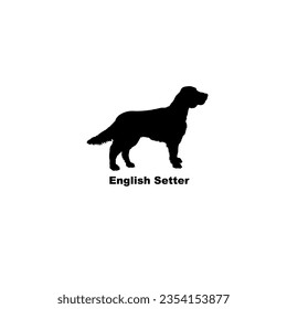 Englischer Setter Hund Silhouette Hund Rasse Tier Haustier