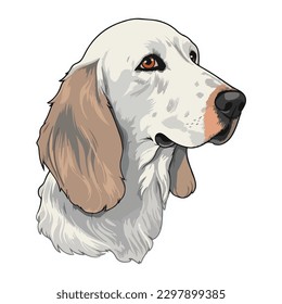 English Setter Flat Icon Isolated On White Background