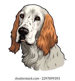 English Setter Flat Icon Isolated On White Background