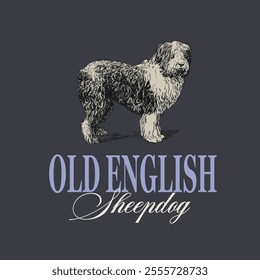 English Sheepdog Dog Sketch Illustration Vector