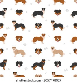 English shepherd seamless pattern. Different poses, coat colors set.  Vector illustration