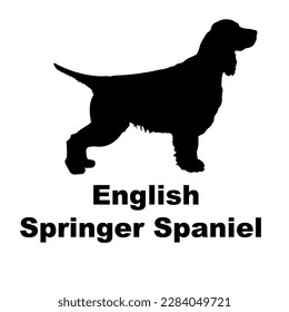 english springer spaniel Dog silhouette vector. Dog breeds