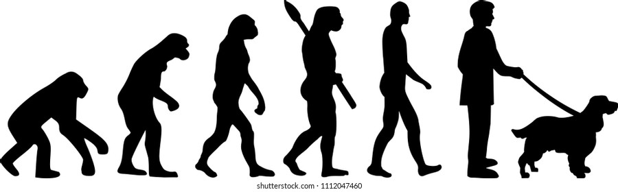 English Springer Spaniel evolution development with silhouette 