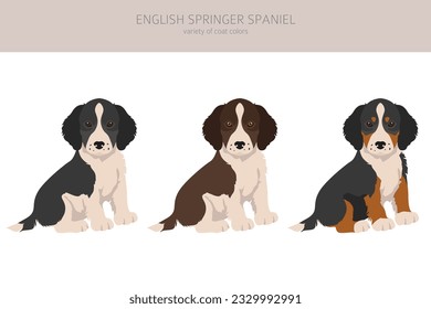 English springer spaniel puppies clipart. Different poses, coat colors set.  Vector illustration
