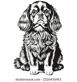 English Toy Spaniel dog cartoon face ink portrait, black and white sketch drawing, tshirt print sketch drawing