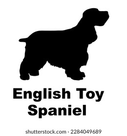 english toy spaniel Dog silhouette vector. Dog breeds