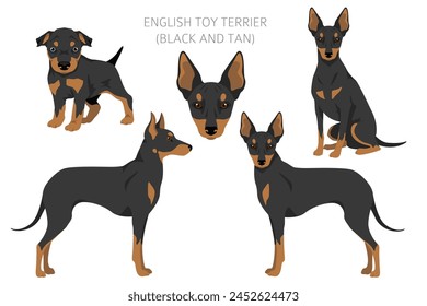 English toy terrier clipart. Different poses, coat colors set.  Vector illustration