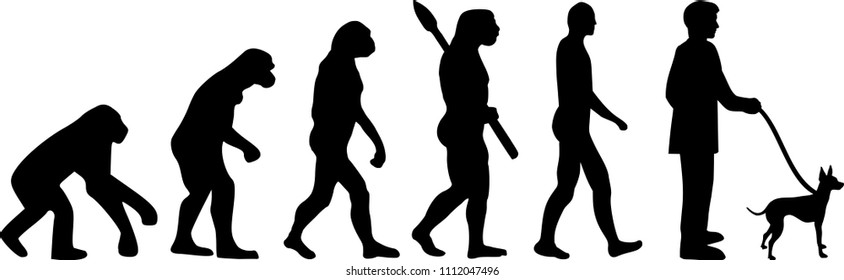 English toy terrier evolution with silhouette