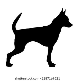 English toy terrier Vector dog breeds dog silhouette. 