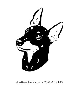 English toy terrier, vector sketch English toy terrier detailed drawn dog.