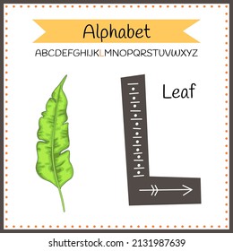 English uppercase alphabet letters on a white background. Letter L. Vector illustration.