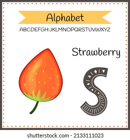 English uppercase alphabet letters on a white background. Letter S. Vector illustration.