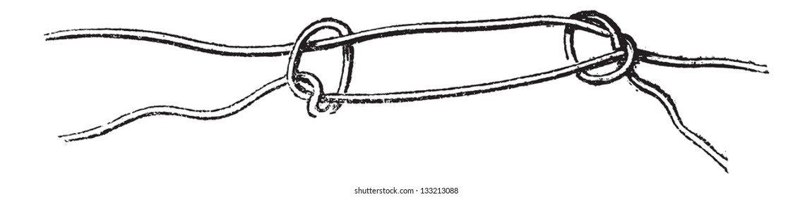 Englishman's Knot, vintage engraved illustration. Le Magasin Pittoresque - 1874