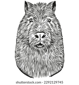 Engrave Capybara illustration in vintage hand drawing style capybaras
