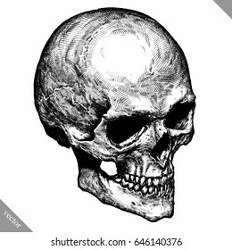 Engrave human skull hand drawn graphic vector illustration art