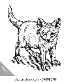 engrave ink draw fox illustration