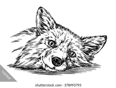 engrave ink draw fox illustration