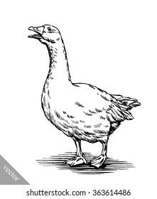 engrave ink draw isolated duck illustration