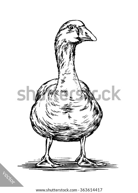 Engrave Ink Draw Isolated Duck Illustration Stock Vector (Royalty Free ...