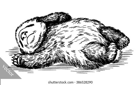 engrave ink draw panda illustration