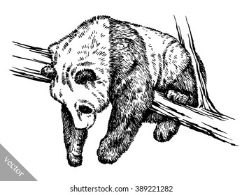 engrave ink draw panda illustration