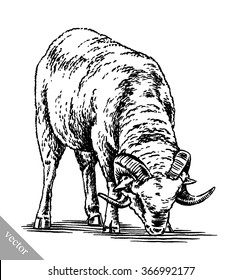 engrave ink draw sheep illustration